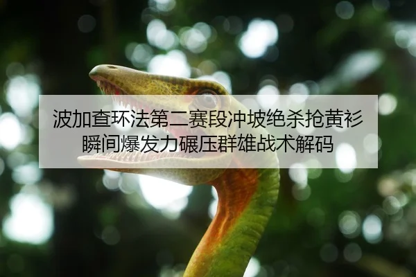 波加查环法第二赛段冲坡绝杀抢黄衫 瞬间爆发力碾压群雄战术解码